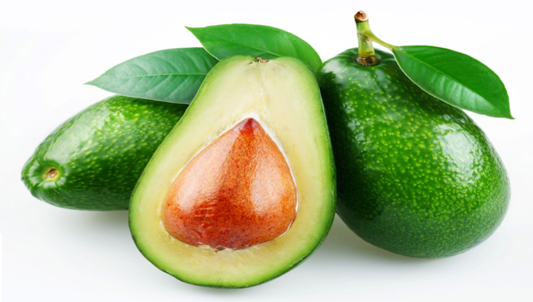 Ethiopian best avocado exporter